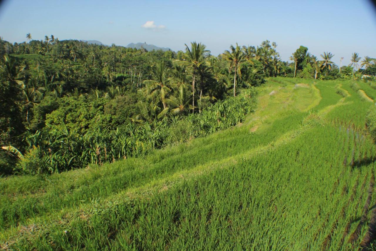 Telagamas Guest House Banjarangkan 外观 照片