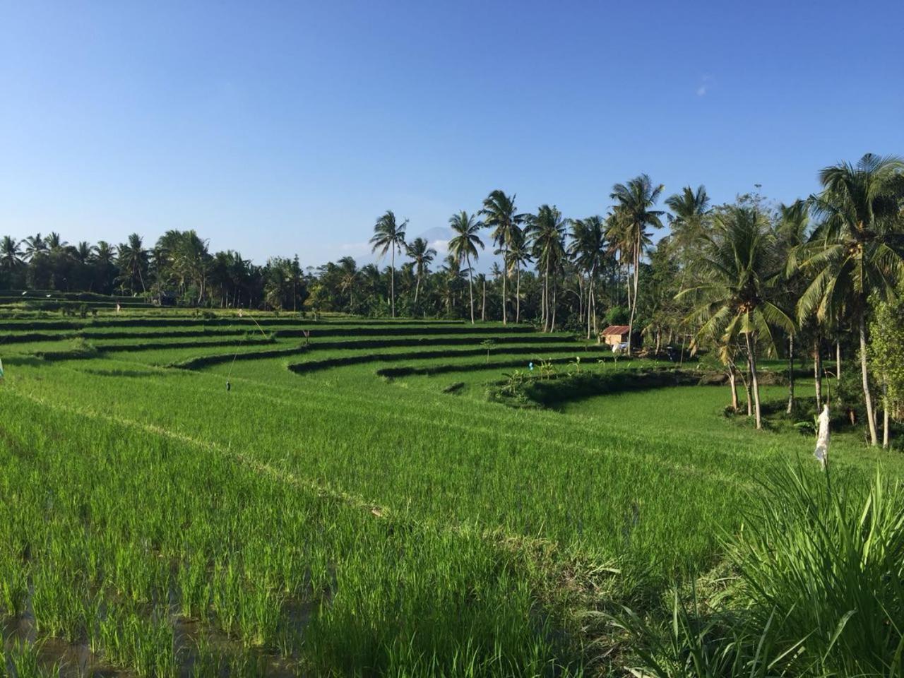 Telagamas Guest House Banjarangkan 外观 照片